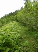 6.10.06 Table Mtn_3CR 107 